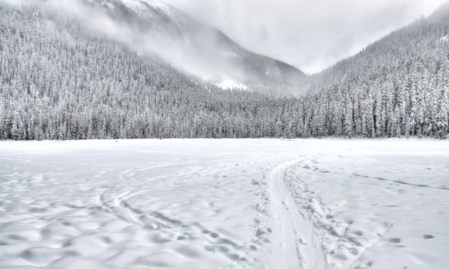 payasage d'hiver