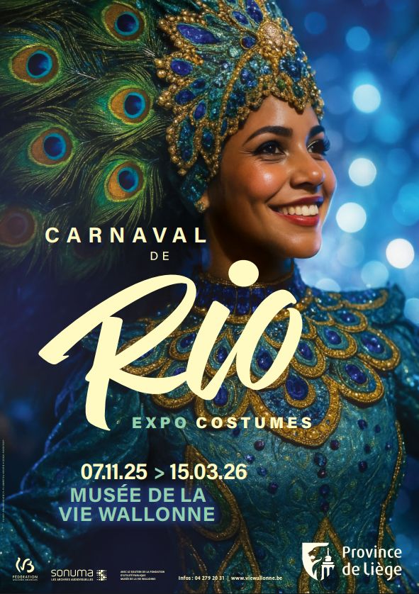Affiche Focus CARNAVAL DE Rio