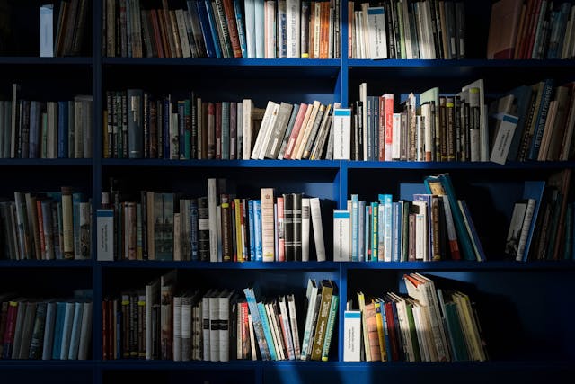 bibliothèque sombre